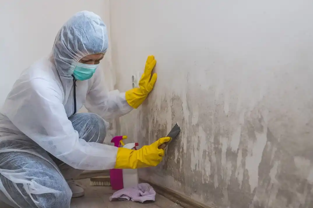 water damage restoration service Summer Lakes